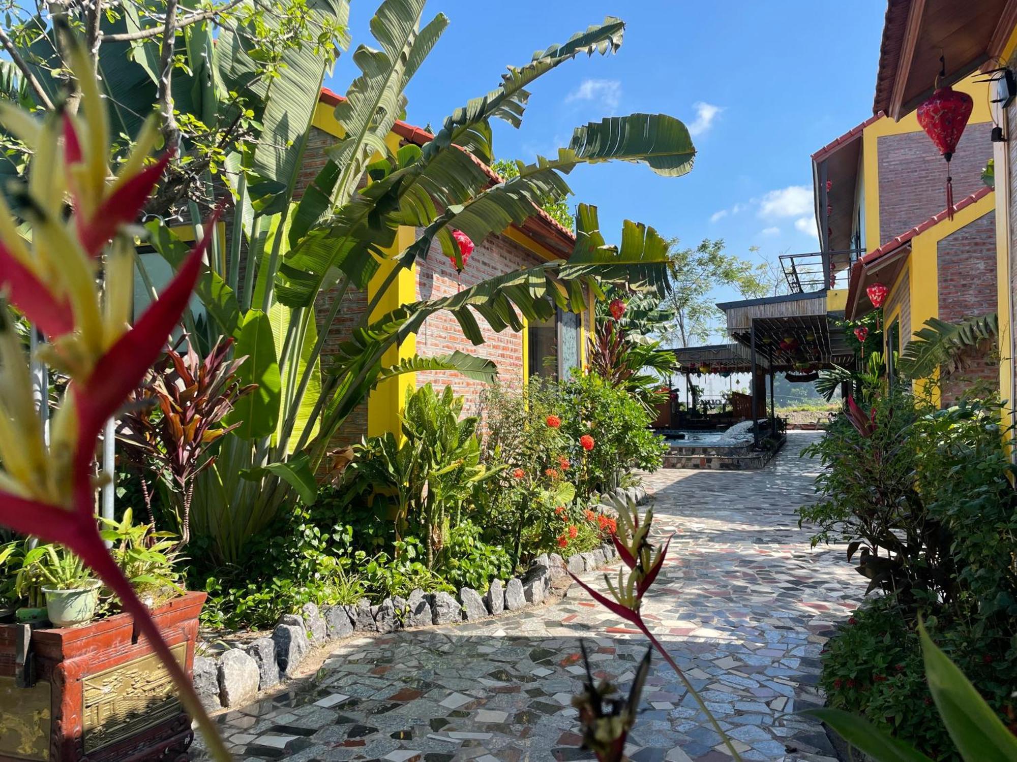 Ninh Binh Royal Homestay Екстер'єр фото